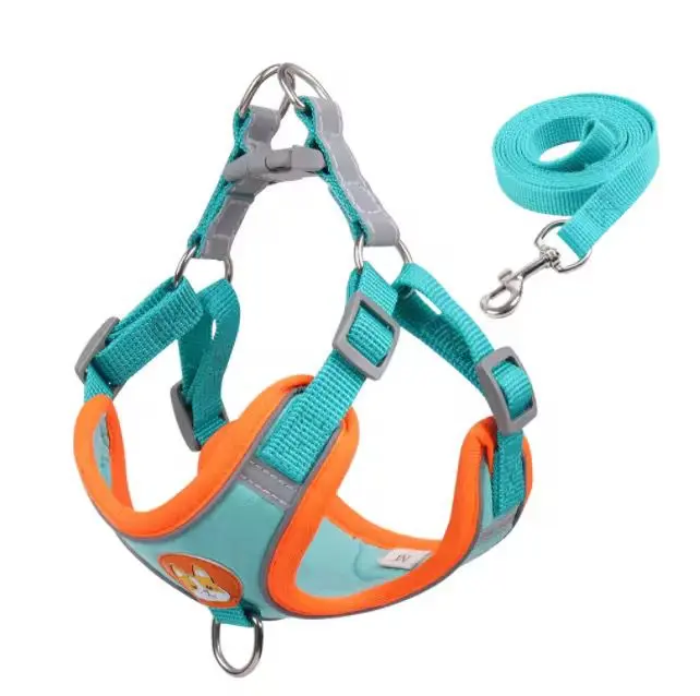 Arnés Set Turquesa Bicolor